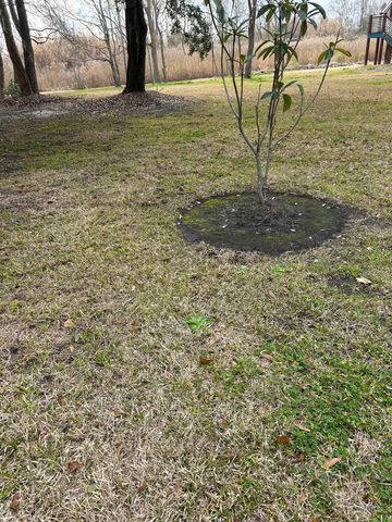 325 Kauffman St., Georgetown, SC 29440