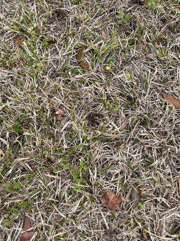 325 Kauffman St., Georgetown, SC 29440