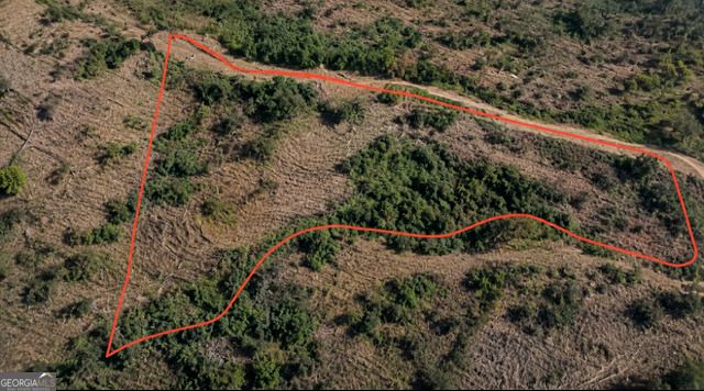 LOT 169 Flagpole Circle, Ellijay, GA 30540