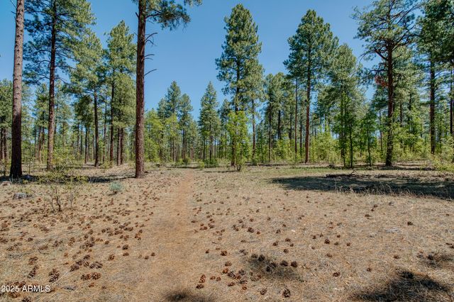 1460 S Adair Dr -- 70, Pinetop, AZ 85935