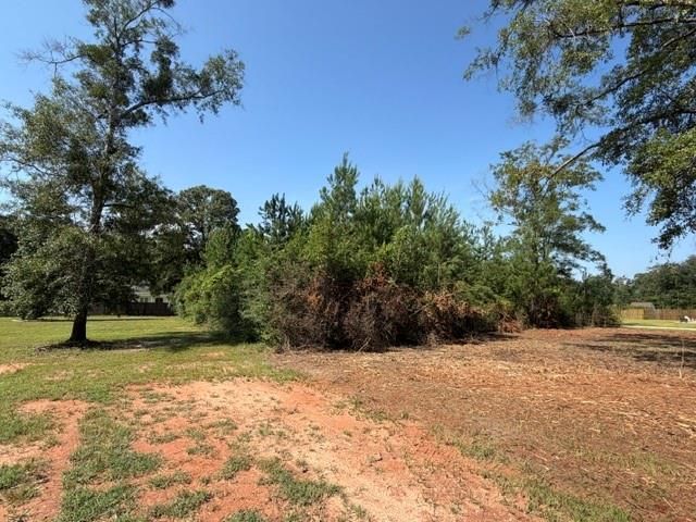 0 Deer Crest Lane, Mobile, AL 36695