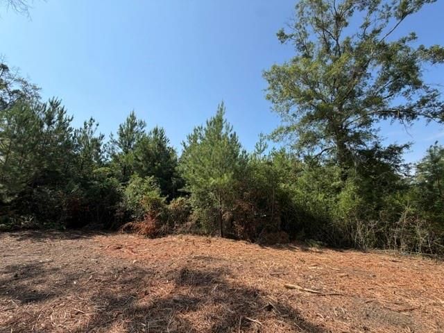 0 Deer Crest Lane, Mobile, AL 36695