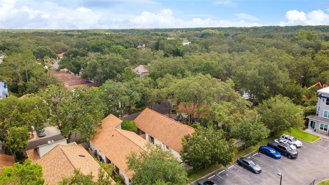 13721 LAZY OAK DRIVE, Tampa, FL 33613