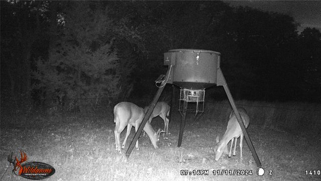 871 HCR 1212 Road, Blum, TX 76627