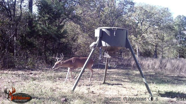 871 HCR 1212 Road, Blum, TX 76627