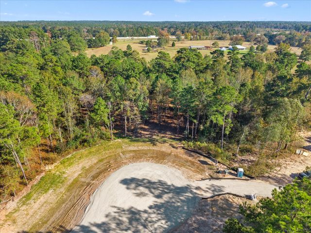 195 Bunkhouse Road, New Waverly, TX 77358