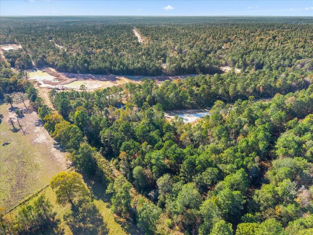 195 Bunkhouse Road, New Waverly, TX 77358