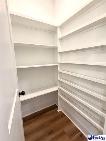 285 Mabry Lane, Cheraw, SC 29520