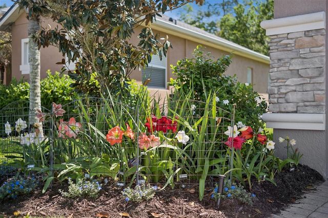 3918 SAFFLOWER TERRACE, Oviedo, FL 32766