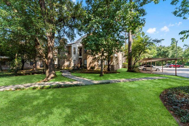 3500 Tangle Brush Drive 178, The Woodlands, TX 77381