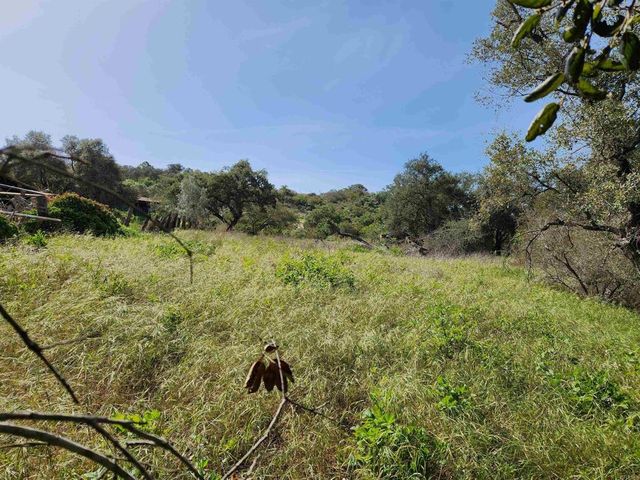 4800 blk 5th Street, Fallbrook, CA 92028