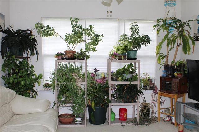 1193 New Hope Road, Locust Grove, GA 30248