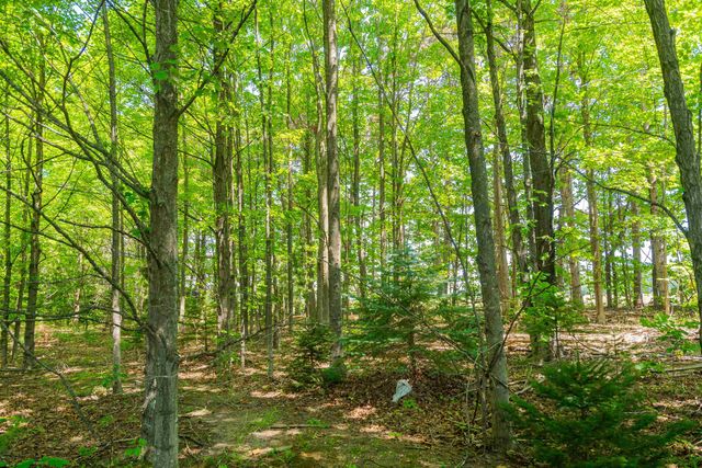 Parcel A Honor Highway, Interlochen, MI 49643