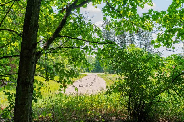 Parcel A Honor Highway, Interlochen, MI 49643