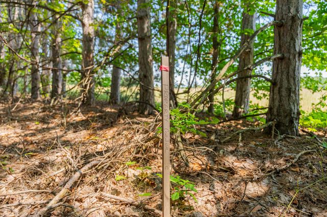 Parcel A Honor Highway, Interlochen, MI 49643