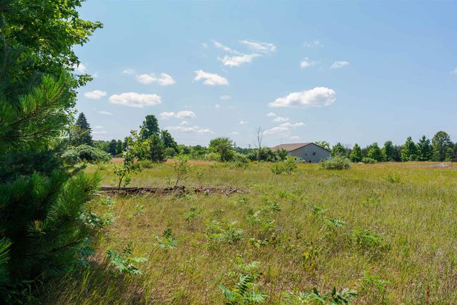 Parcel A Honor Highway, Interlochen, MI 49643