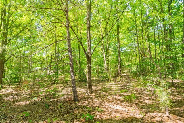 Parcel A Honor Highway, Interlochen, MI 49643