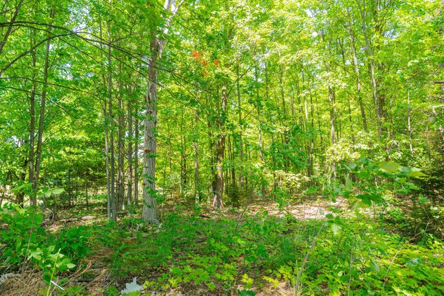 Parcel A Honor Highway, Interlochen, MI 49643