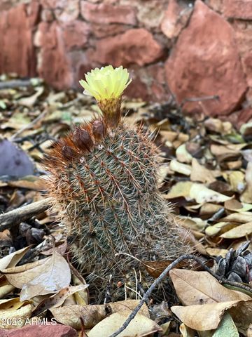 485 MOUNTAIN SHADOWS Drive, Sedona, AZ 86336