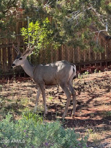 485 MOUNTAIN SHADOWS Drive, Sedona, AZ 86336