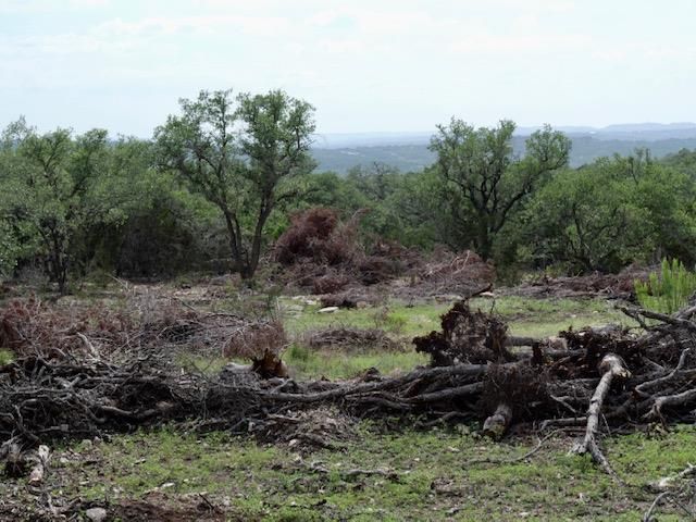 Lot 10 Legacy Hills DR, Johnson City, TX 78636