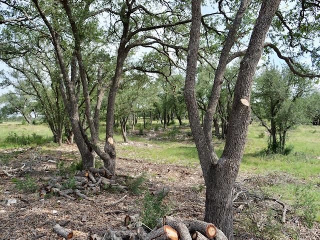 Lot 10 Legacy Hills DR, Johnson City, TX 78636