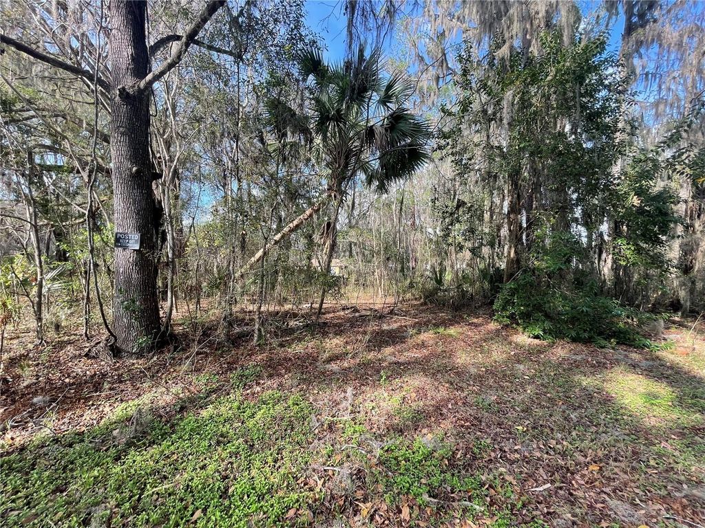 TBD SE 40TH LOOP, Ocala, FL 34480