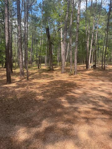 16375 Grand Flower Road, Plantersville, TX 77363