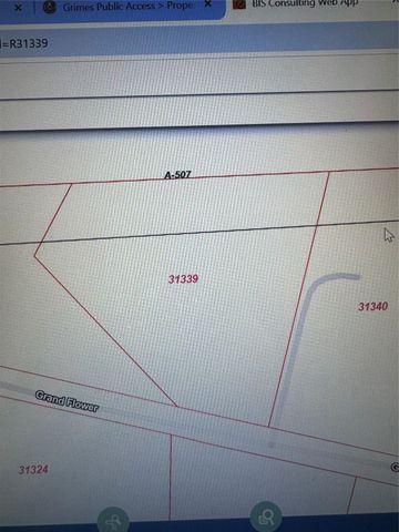 16375 Grand Flower Road, Plantersville, TX 77363