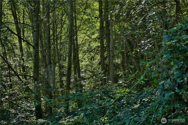 0 Leaf Lane, Greenbank, WA 98239