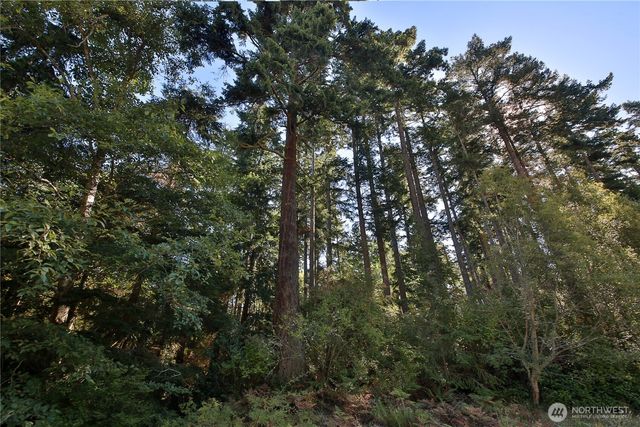 0 Leaf Lane, Greenbank, WA 98239