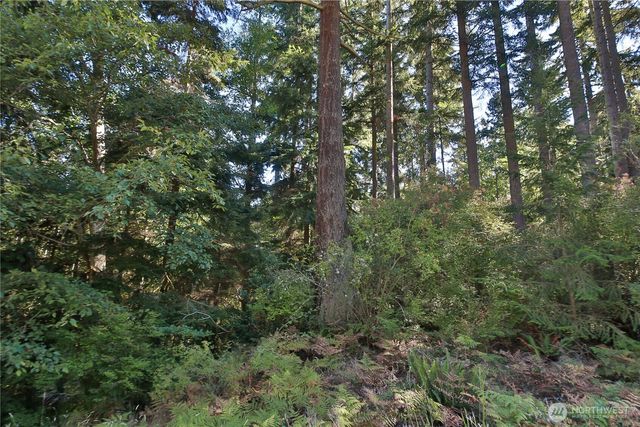 0 Leaf Lane, Greenbank, WA 98239