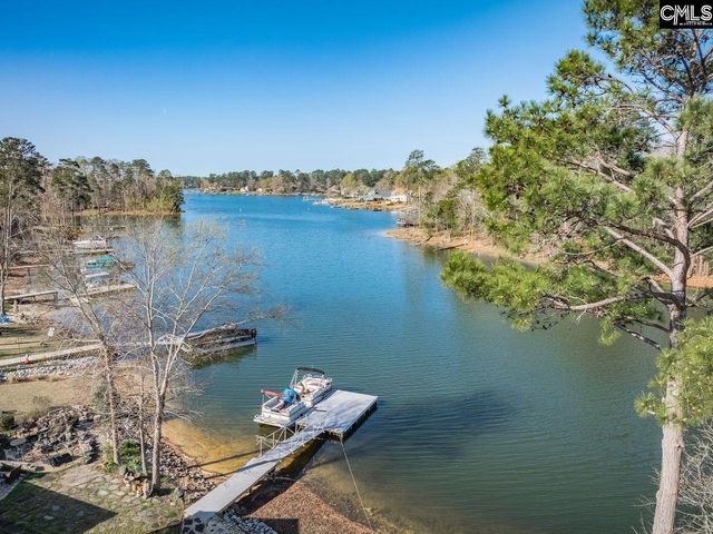 180 Palm Street, Chapin, SC 29036