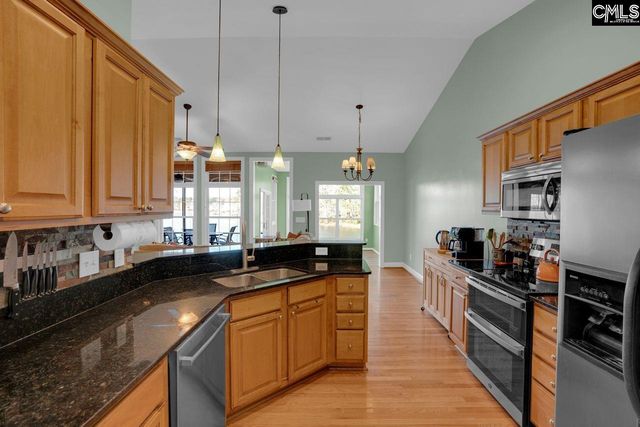 180 Palm Street, Chapin, SC 29036