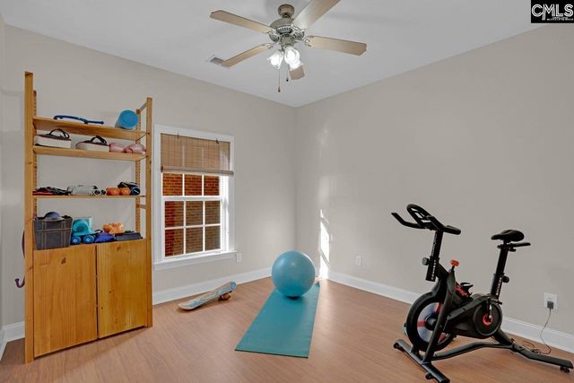 180 Palm Street, Chapin, SC 29036