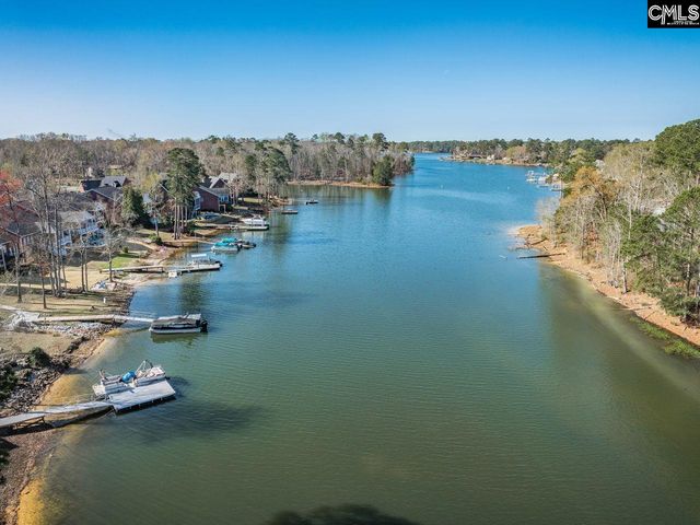 180 Palm Street, Chapin, SC 29036