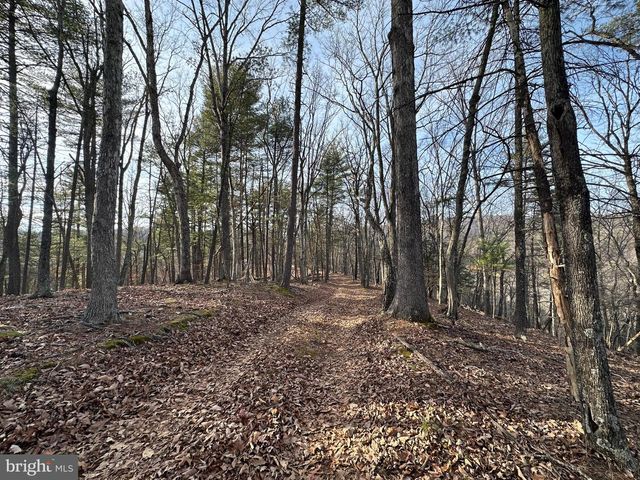 320 COWGILL LN, Paw Paw, WV 25434