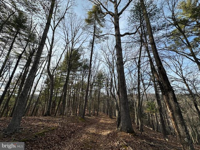 320 COWGILL LN, Paw Paw, WV 25434