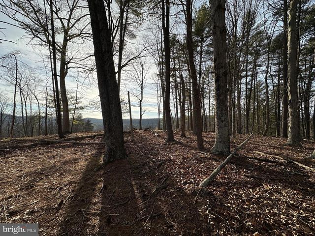 320 COWGILL LN, Paw Paw, WV 25434