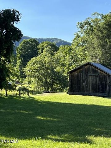 451 Heaton Creek Road, Roan Mountain, TN 37687
