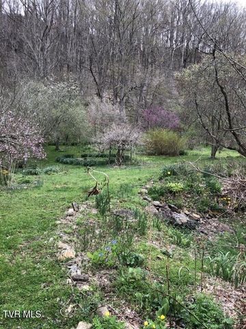 451 Heaton Creek Road, Roan Mountain, TN 37687