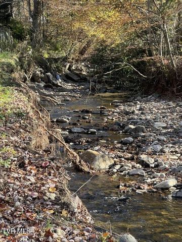 451 Heaton Creek Road, Roan Mountain, TN 37687