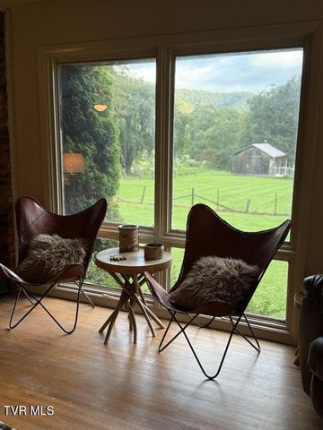 451 Heaton Creek Road, Roan Mountain, TN 37687