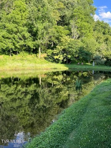 451 Heaton Creek Road, Roan Mountain, TN 37687