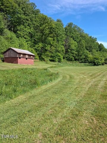 451 Heaton Creek Road, Roan Mountain, TN 37687