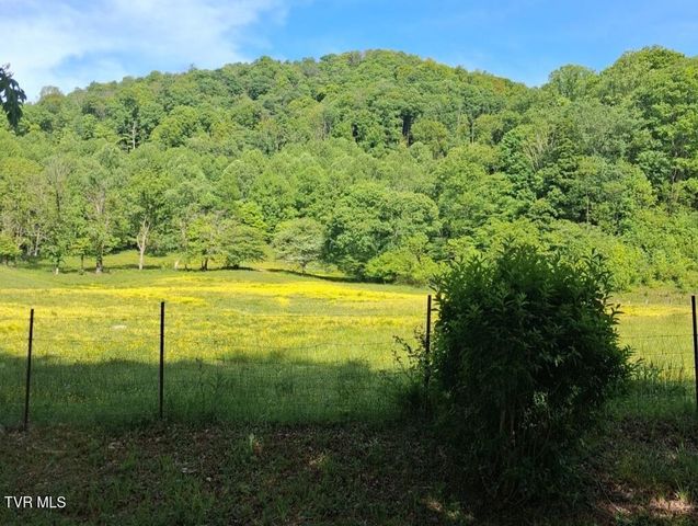 451 Heaton Creek Road, Roan Mountain, TN 37687