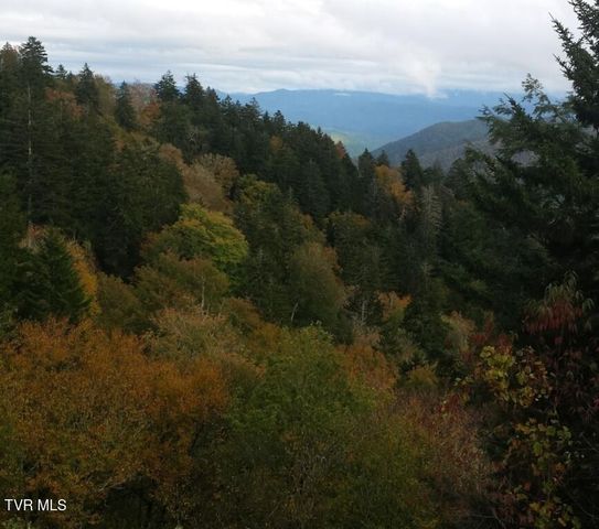 451 Heaton Creek Road, Roan Mountain, TN 37687