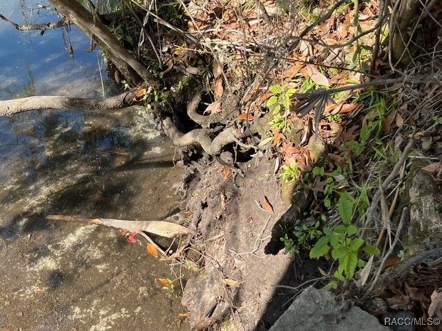 1614 2nd,1730 3rd740 SE 2nd, 3rd, 3rd Court, Crystal River, FL 34429