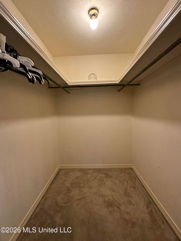 3699 Flynn Drive, Pearl, MS 39208