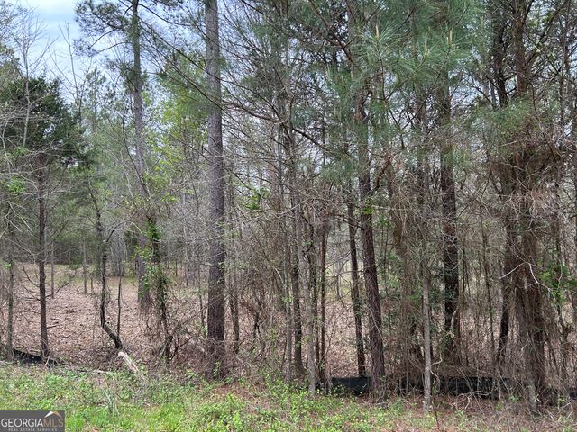 02 Hornets Bridge Drive, Elberton, GA 30635